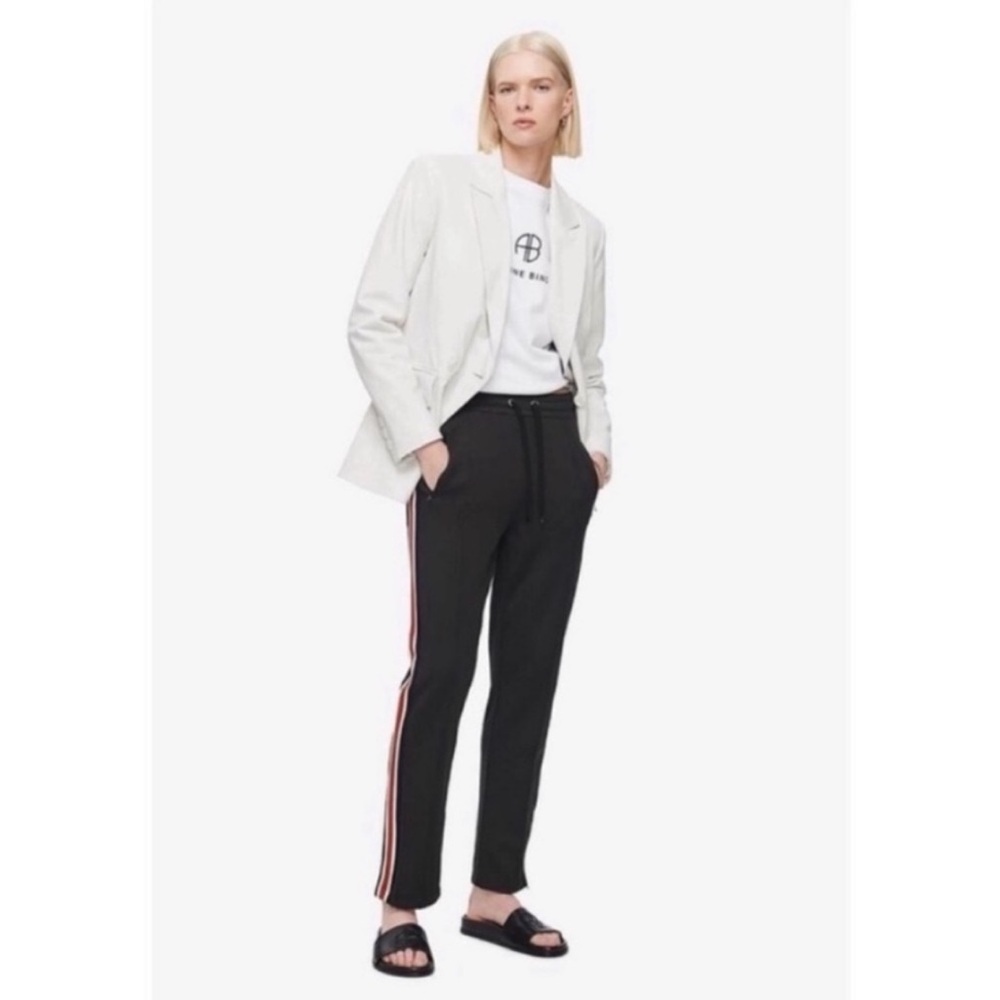 ANINE BING Nico Striped Track Pant - Picture 6 of 16